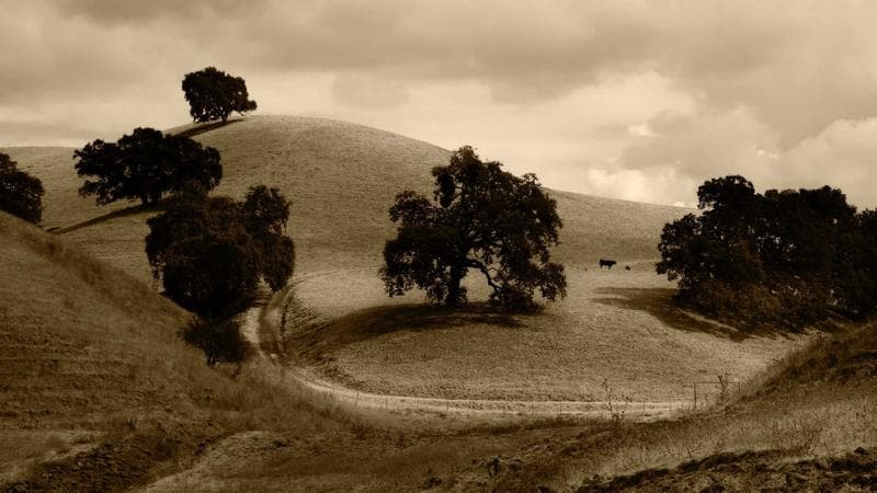 'Kalki 2.0' Becomes India's Highest-Grossing Film of 2025, Crosses ₹1,000 Crore in 21 Days