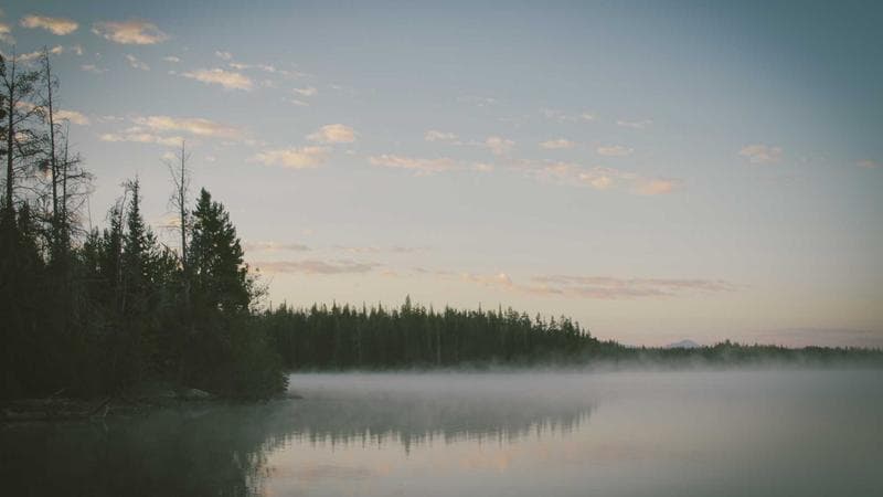 Lok Sabha Passes Historic Climate Adaptation Act, Mandates Net-Zero Targets for Industries