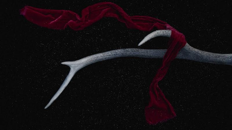 Delhi Metro Phase 4 Construction Officially Begins, Janakpuri to RK Ashram Corridor by 2028